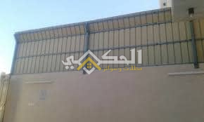 سواتر شينكو مودرن